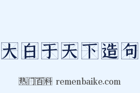 大白于天下造句是什么意思的图片